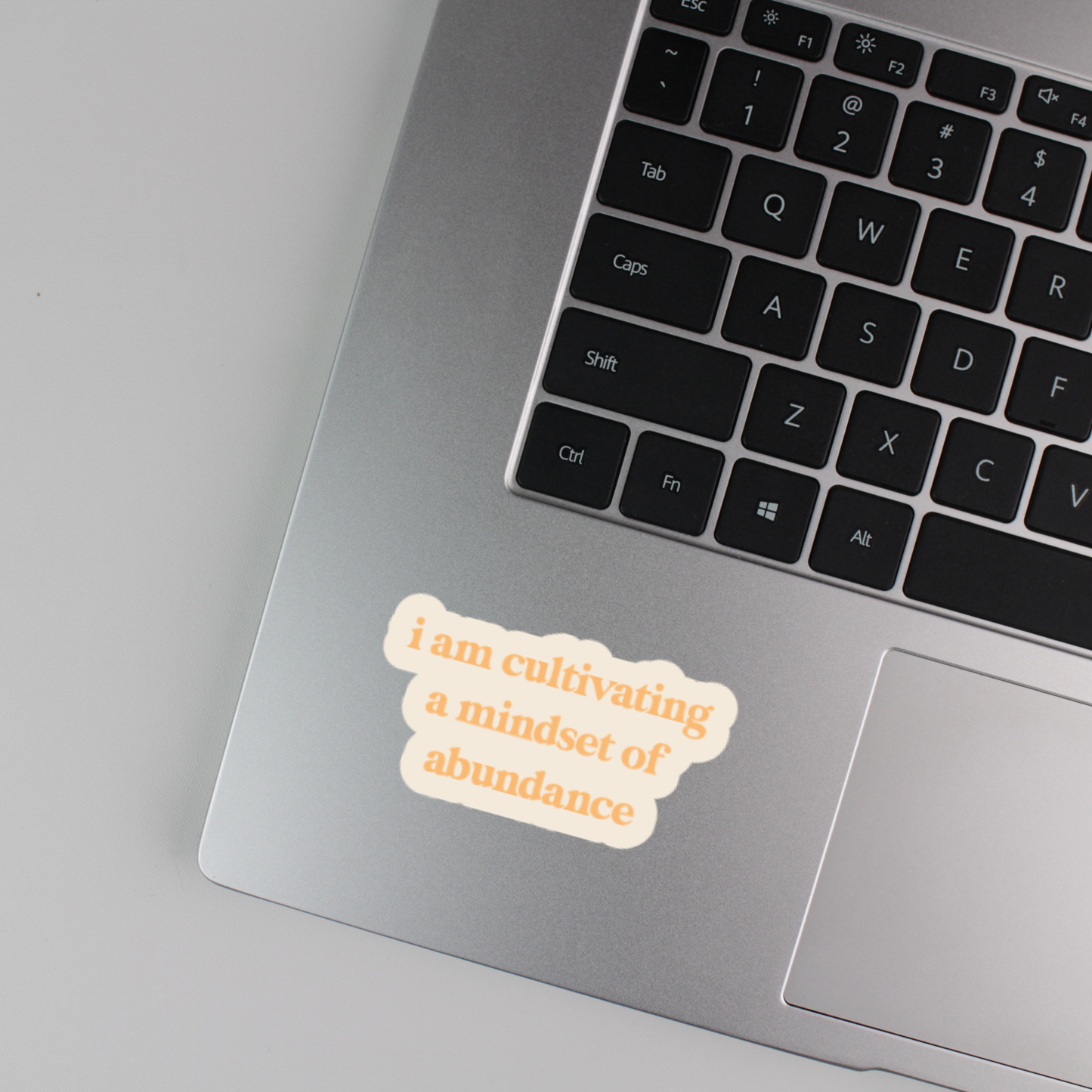 i am cultivating a mindset of abundance sticker