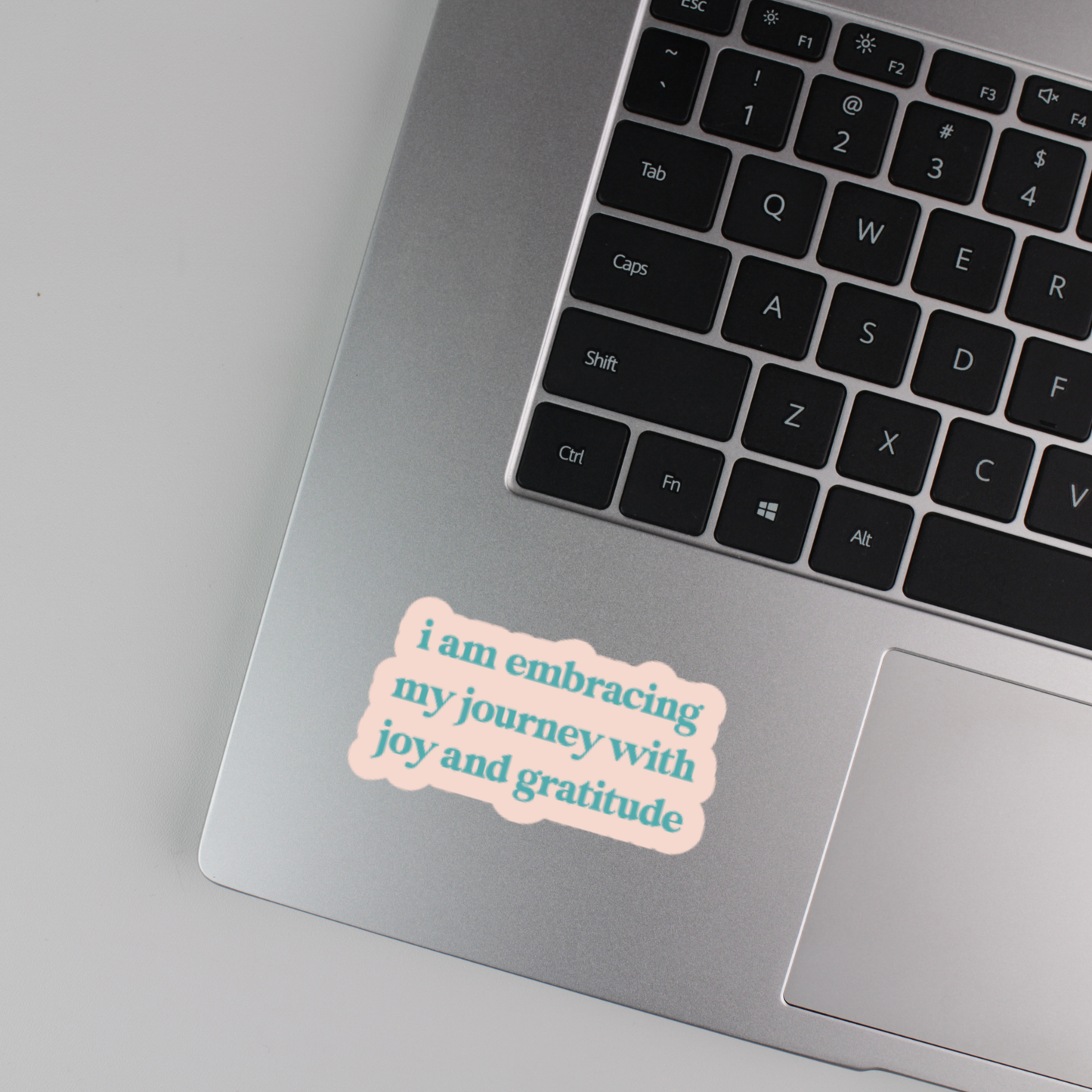 i am embracing my journey with joy and gratitude sticker