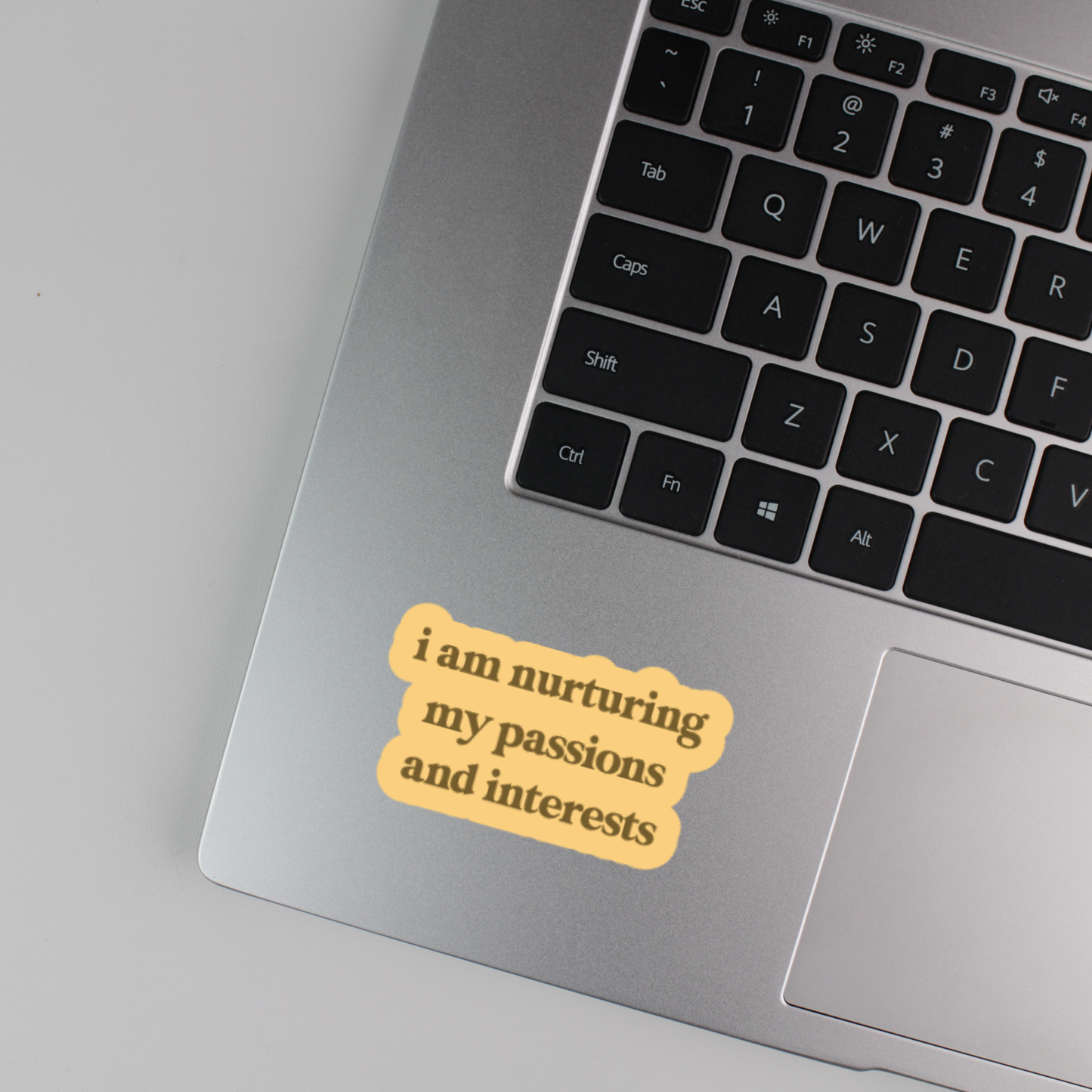 i am nurturing my passions and interests sticker