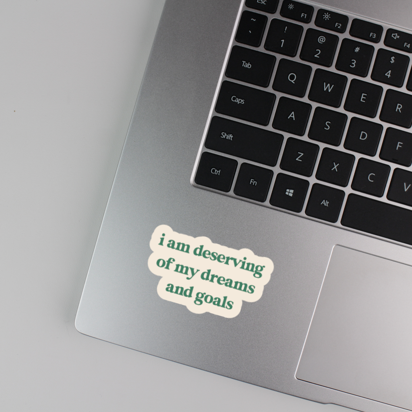 i am deserving of my dreams and goals sticker