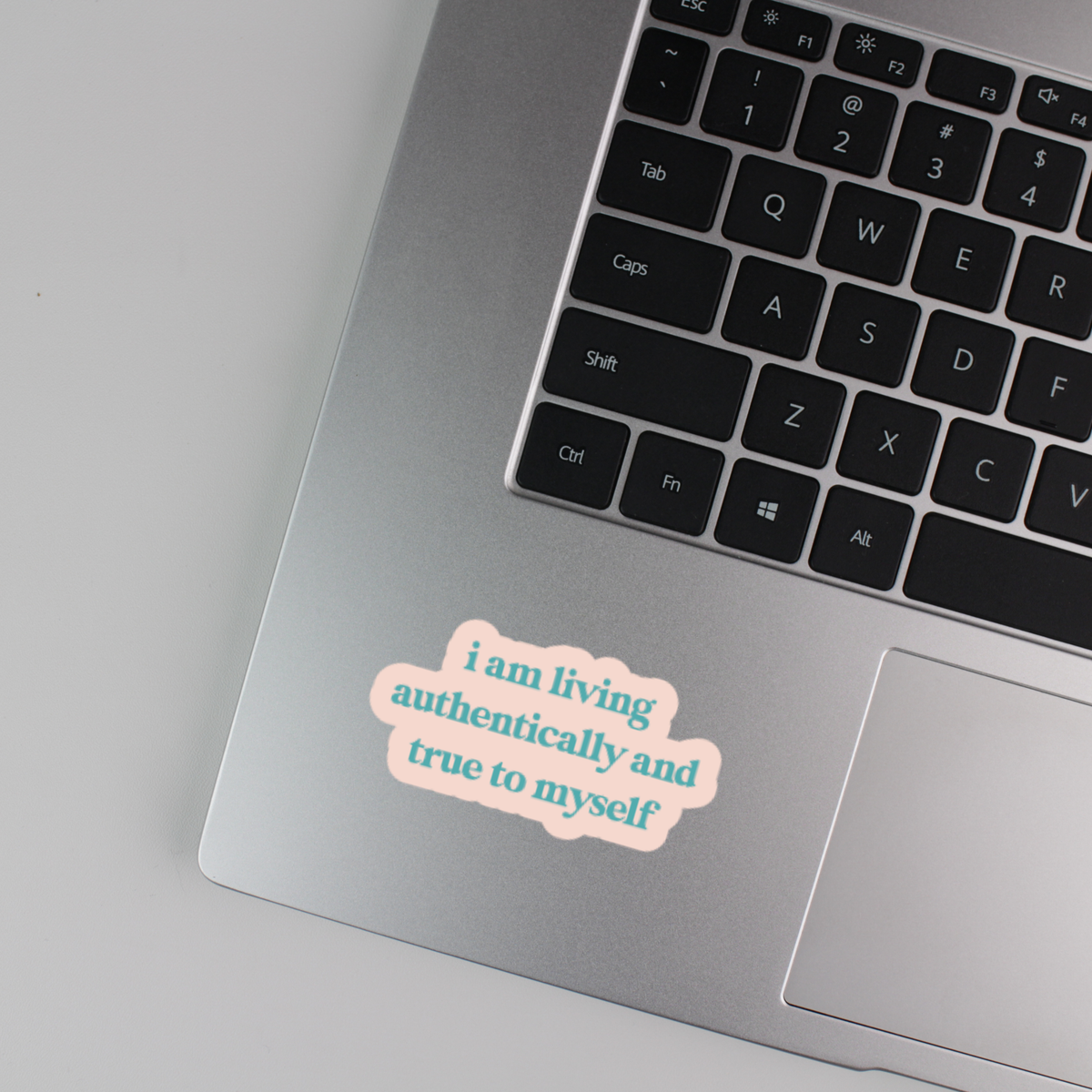 i am living authentically and true to myself sticker