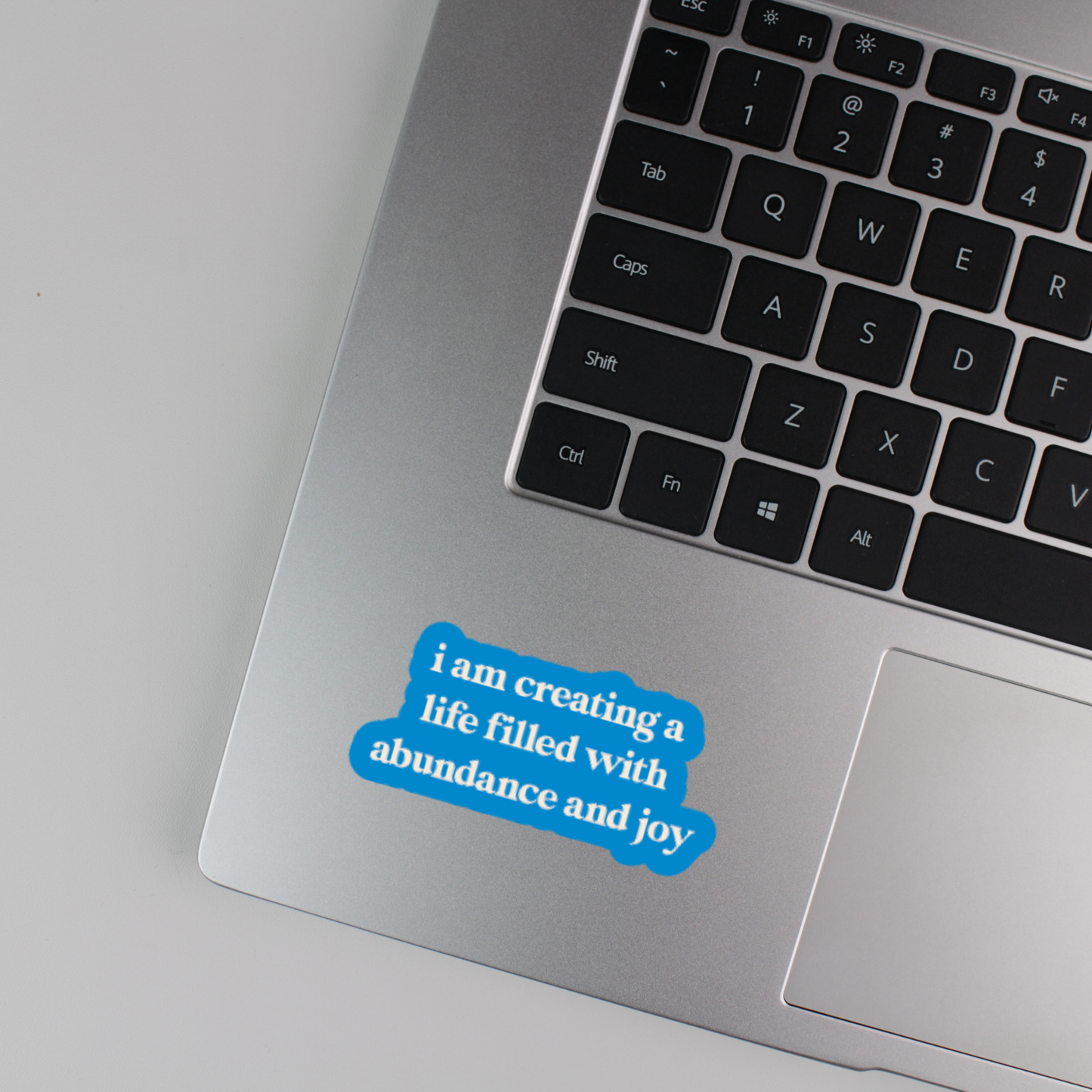 i am creating a life filled with abundance and joy sticker