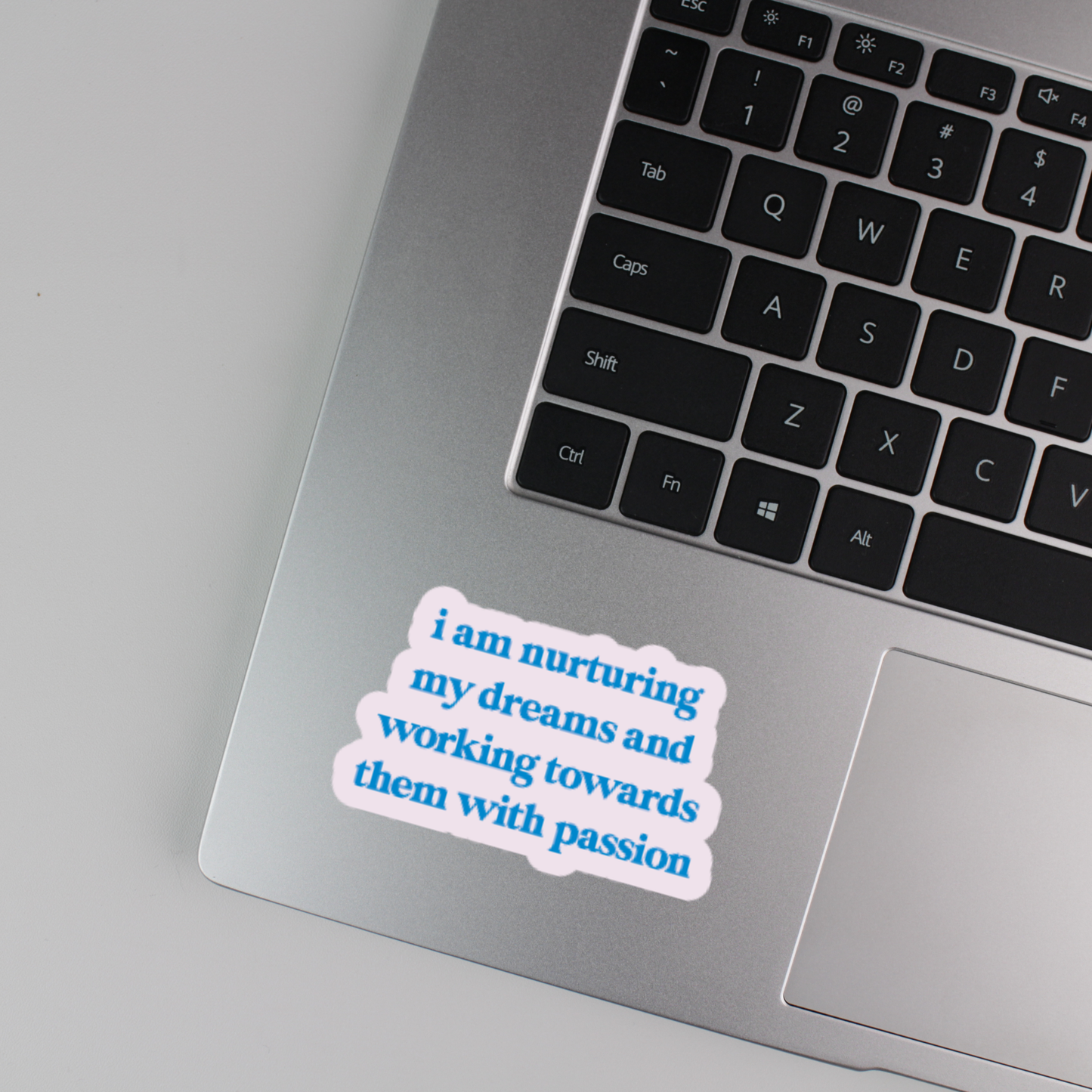 i am nurturing my dreams and working towards them with passion sticker