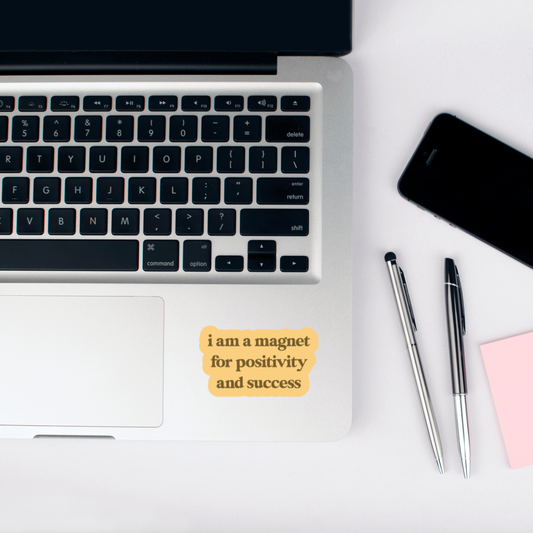 i am a magnet for positivity and success sticker