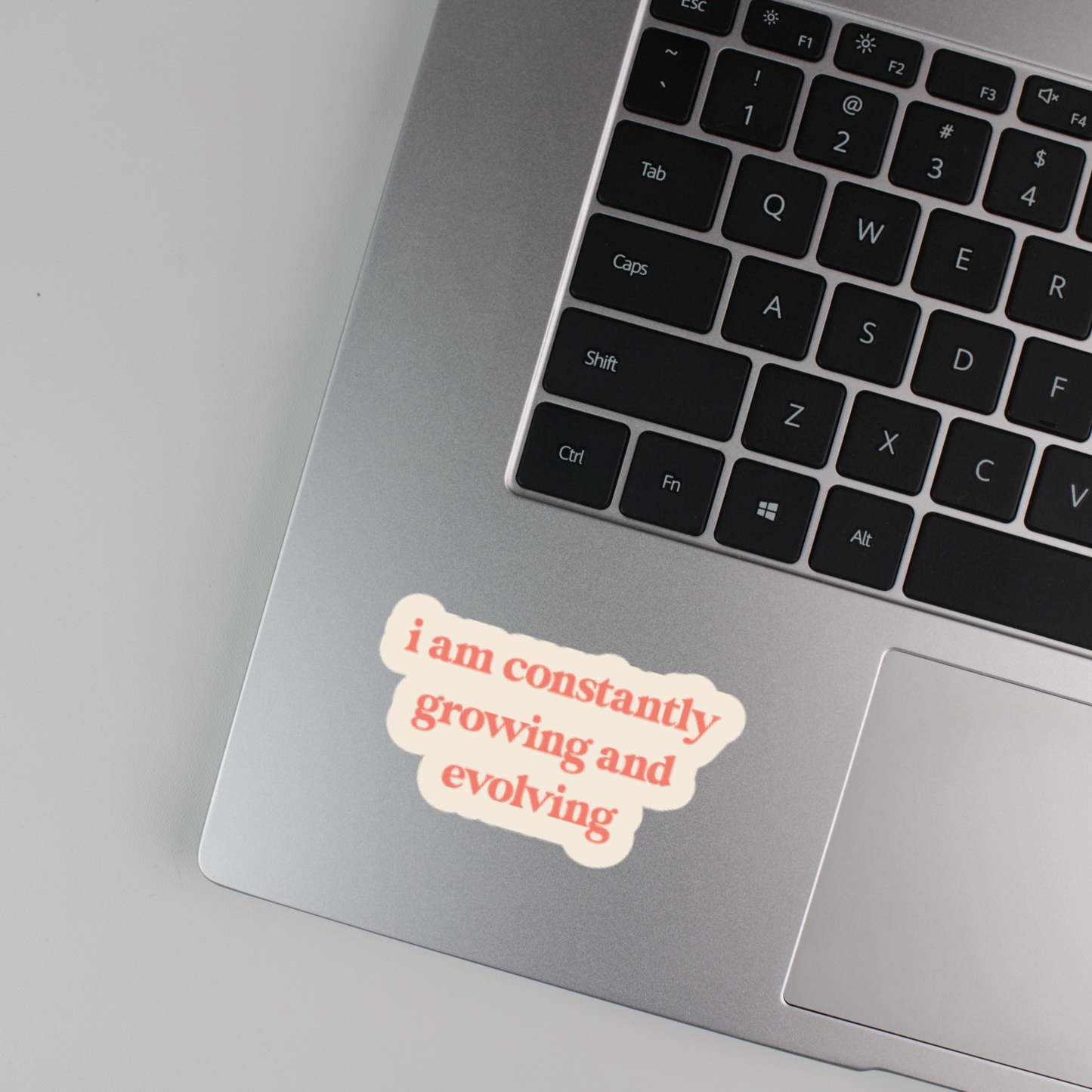 i am constantly growing and evolving sticker